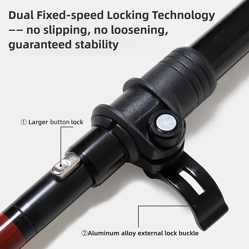 BISINNA Carbon Fiber Trekking  - Trekking Pole Carbon 评论和价格