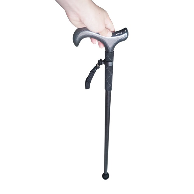 Ultralight Carbon Fiber Hiking - Trekking Pole Carbon 评论和价格