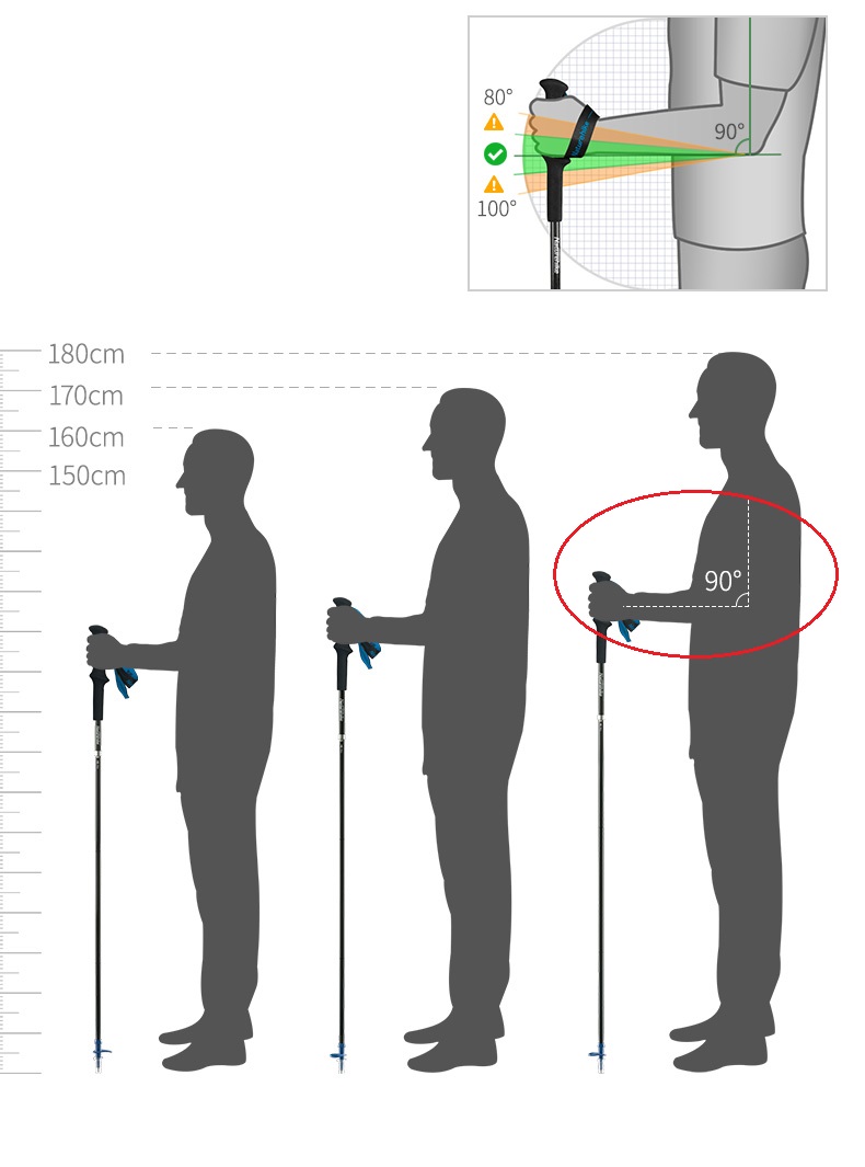 PIONEER Carbon Fiber Trekking  - Trekking Pole Carbon 评论和价格