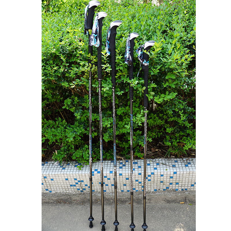 PIONEER Carbon Fiber Trekking  - Trekking Pole Carbon 评论和价格